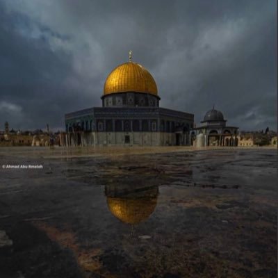 Djzairi04's profile picture. 🇩🇿🇵🇸