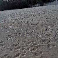 mach kinh ❤️ Memecoin (@kinh_mach) 's Twitter Profile