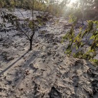 lien bo ❤️ Memecoin (@lienbo8) 's Twitter Profile