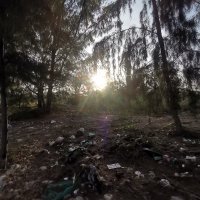 lai tuong ❤️ Memecoin (@laituong6) 's Twitter Profile