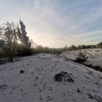 mai ngay ❤️ Memecoin (@maingay11) 's Twitter Profile