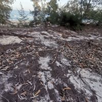 trach chuc ❤️ Memecoin (@chuctrach) 's Twitter Profile