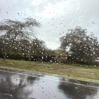 zainabukems's profile picture. I'm a song,sang in the silence of instruments 🎶🎼
A book Read in darkness  📚
I'm that masterpiece turn upside down and see me upright 😊@kems life🖤🌺🥀