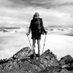 Samuel Boulay-Grimard (@boulaysamus) Twitter profile photo Samuel Boulay-Grimard (@boulaysamus) Twitter profile photo
