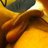 daudtec's profile image