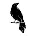 Honford Star (@honfordstar) Twitter profile photo Honford Star (@honfordstar) Twitter profile photo
