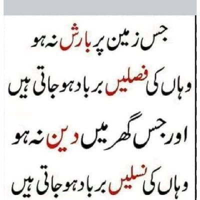 rahbar_d's profile picture. 