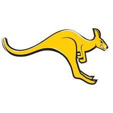 AussieBallinUSA Profile Picture