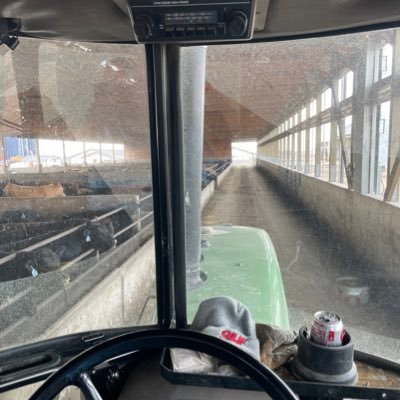 Feedyard in Northwest Iowa