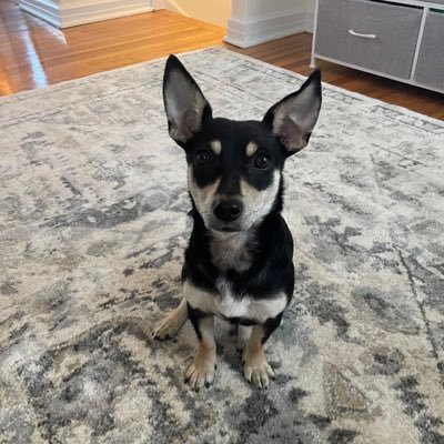 ericahickeyy's profile picture. trying to get by with a little help from my friends