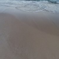 su giao5 ❤️ Memecoin (@sugiao5) 's Twitter Profile