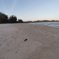 diem thoi ❤️ Memecoin (@diemthoi1) 's Twitter Profile