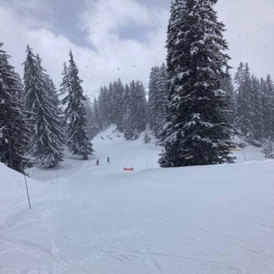 myloMartell's profile picture. 