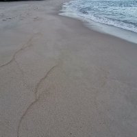 luong khoi ❤️ Memecoin (@luongkhoi10) 's Twitter Profile