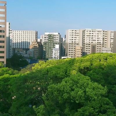 モッコリ、ピチピチ、見せつけ好きなやついないかなぁ