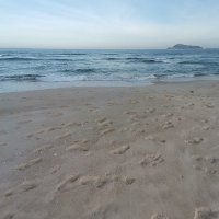 vu cam ❤️ Memecoin (@vucam19) 's Twitter Profile