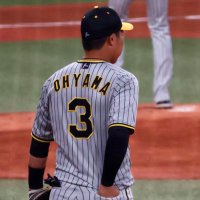 96tora🐯 (@wasabi_murida) 's Twitter Profile