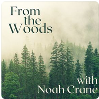FromTheWoods (@fromthewoods79) 's Twitter Profile Photo FromTheWoods (@fromthewoods79) 's Twitter Profile Photo