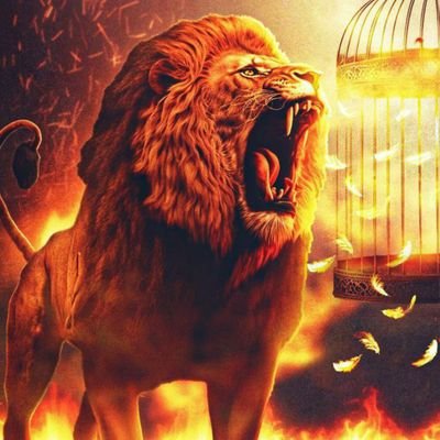 DebreliHasan13's profile picture. 