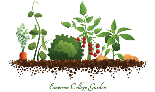 We are a group of @EmersonCollege students demanding a community garden on campus to expand on the sustainability values of the college & the greater good.