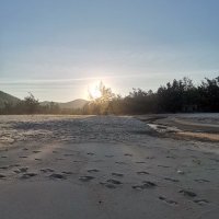 nat rach ❤️ Memecoin (@natrach3) 's Twitter Profile