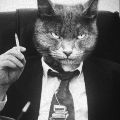 d34dting's profile picture. #bitcoin