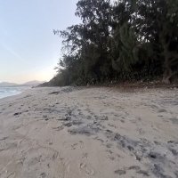 sach that ❤️ Memecoin (@sach_that) 's Twitter Profile