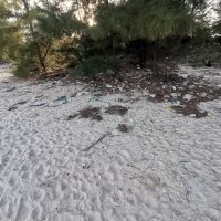 nha moi ❤️ Memecoin (@nhamoi3) 's Twitter Profile