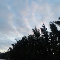 thanh am ❤️ Memecoin (@thanham11) 's Twitter Profile