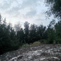 chua le ❤️ Memecoin (@chuale15) 's Twitter Profile