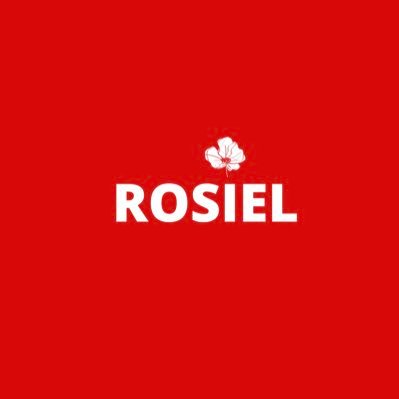 We help established and aspiring writers achieve their dreams. Kick off 2024 on a #RosielMentorship note! 💫🥂