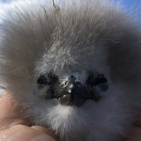 Audrey Jaeger (@audrey_jaeger12) 's Twitter Profile