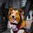 PatriotPawsTAMU's profile image
