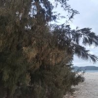 sam mua ❤️ Memecoin (@sammua6) 's Twitter Profile