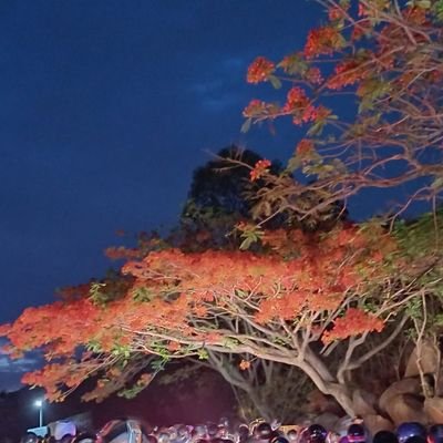 Software Engineer |
Blockchain developer |
Open Source |
mentor