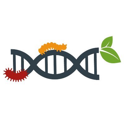 Molecular Agroecology Lab (Molecolab) at @irnasa_csic of Salamanca | #Soil #biodiversity and #sustainable and resilient #croping