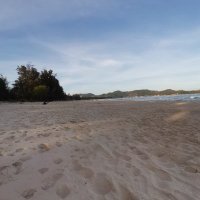 hoa nu ❤️ Memecoin (@hoanu19) 's Twitter Profile