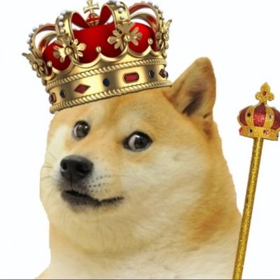 Yooooo follow me plz and if you love doge man I love you too