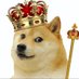 Doge king (@covingtonryder) Twitter profile photo Doge king (@covingtonryder) Twitter profile photo