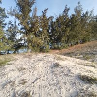 dao dao ❤️ Memecoin (@daodao67590103) 's Twitter Profile