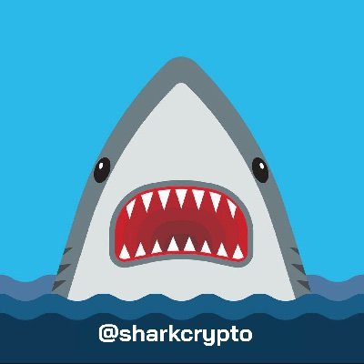 sharkcrypto Profile Picture