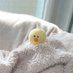 pori (@poripori1559) Twitter profile photo pori (@poripori1559) Twitter profile photo