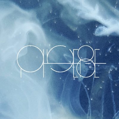 PHOEBE infoさんのプロフィール画像