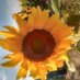 Ma de la Luz Cortina (@madela_c70155) Twitter profile photo Ma de la Luz Cortina (@madela_c70155) Twitter profile photo