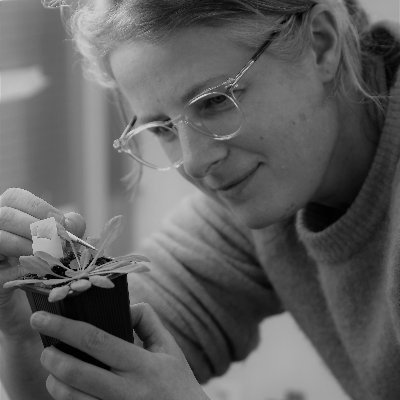 Insect-plant-microbe interactions and everything about #aphids #phloem #soilmicrobiome @WUR She/her. Tweets my own