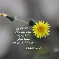 نبض الامل(@NabdAlama) 's Twitter Profile Photo