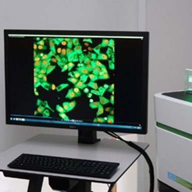 FIMM High Content Imaging and Analysis (FIMM-HCA) unit provides services in high-content and high-throughput imaging and image analysis.