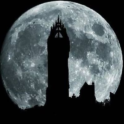 foxhaven333's profile picture. 