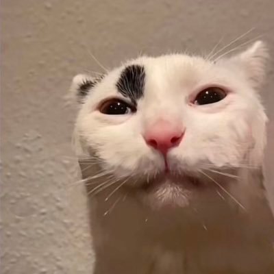 QuiglyYoung's profile picture. lord of all things silly and goofy