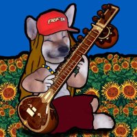 Nate Feral Fella ๐ต๐บ๐ฆโฎ๏ธ๐๐ฌ (@natetheferal) 's Twitter Profile
